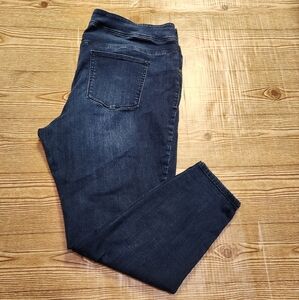 Maurices High Rise 3 Button Jegging Plus Size